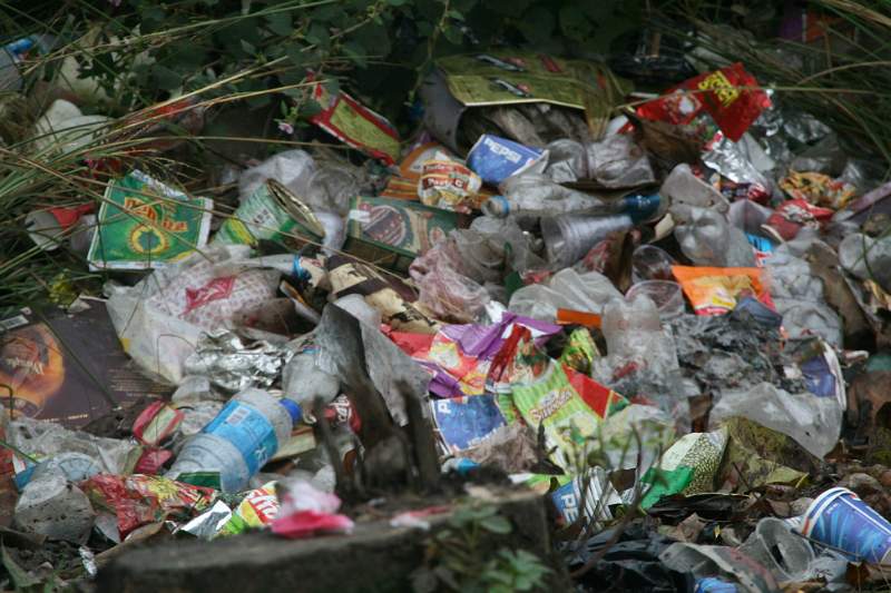 India & Nepal 2011 - 0682